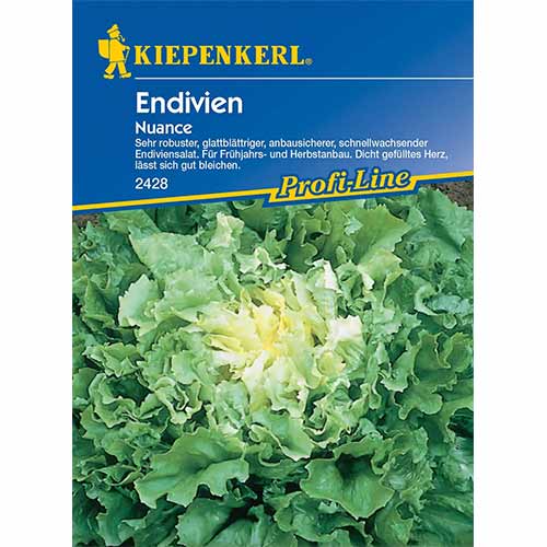 Čekanka listová Nuance artikel fotografie 1 Čekanka listová Nuance obrázek 1 artikel 96614