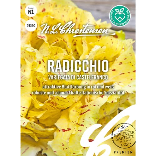 Čekanka listová Variegata di Castelfranco obrázek 1 artikel 86082