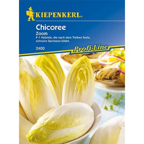 Čekanka listová Zoom F1 obrázek 1 artikel 86424