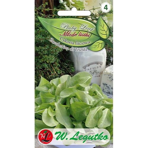 Čekanka listová Zuccherina di Trieste - Baby Leaf obrázek 1 artikel 86705