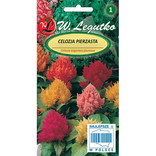 Celosia plumosa, směs obrázek 1 artikel 78535