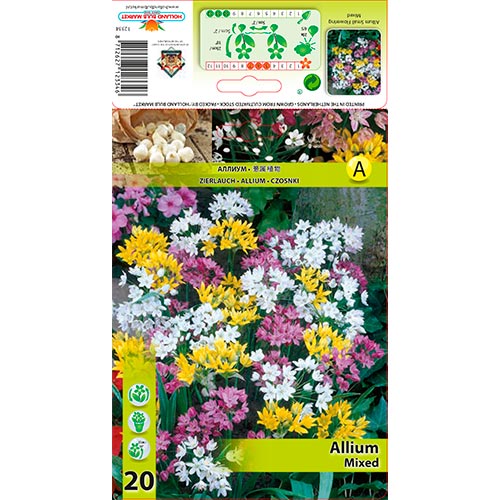 Česnek, mix artikel fotografie 1 Česnek, mix obrázek 1 artikel 67298