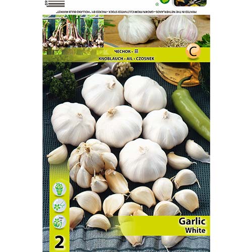 Česnek neapolský obrázek 1 artikel 70500