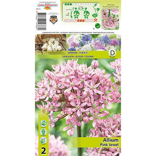Česnek Pink Jewel artikel fotografie 1 Česnek Pink Jewel obrázek 1 artikel 67300