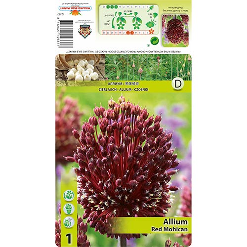 Česnek Red Mohican artikel fotografie 1 Česnek Red Mohican obrázek 1 artikel 68122