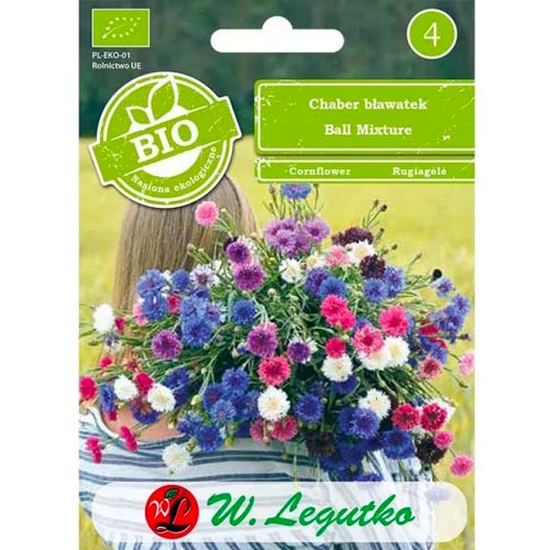 Chrpa nebeská Ball Mixture, směs obrázek 1 artikel 50086