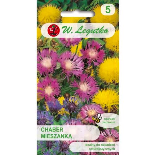 Chrpa - směs víceletých druhů obrázek 1 artikel 86804