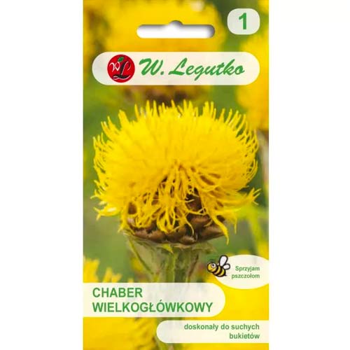 Chrpa velkohlavá žlutá obrázek 1 artikel 50087