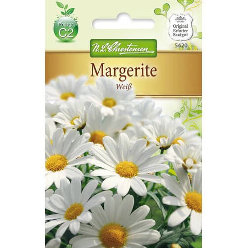 Chryzantéma (Sedmikráska) White obrázek 1 artikel 78972