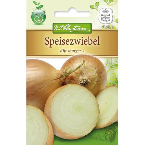 Cibule Rijnsburger 4 obrázek 1 artikel 78757