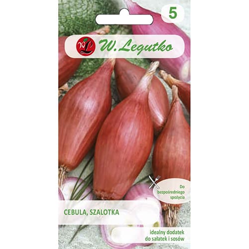 Cibule šalotka Zebrune obrázek 1 artikel 96816