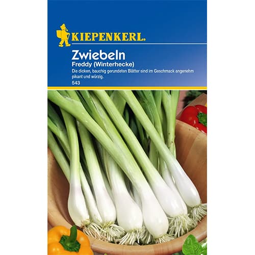 Cibule sedmiletá Freddy Winterhecke obrázek 1 artikel 77460