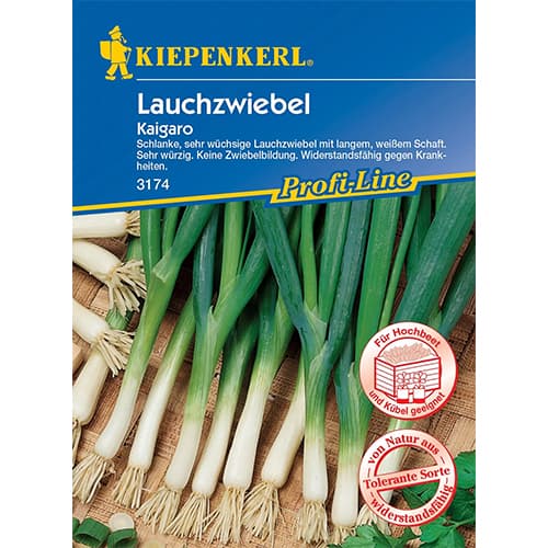 Cibule sedmiletá Kaigaro obrázek 1 artikel 87283