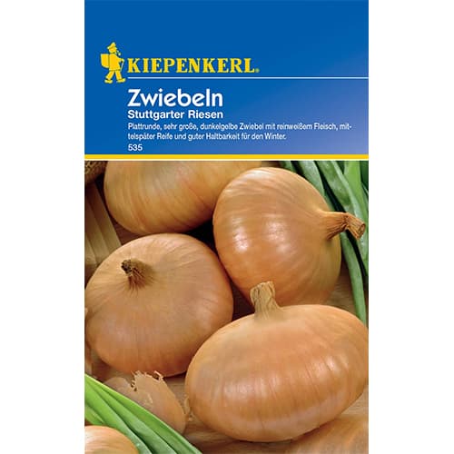 Cibule sedmiletá Stuttgarter Riesen artikel fotografie 1 Cibule sedmiletá Stuttgarter Riesen obrázek 1 artikel 50077