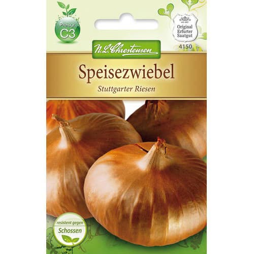 Cibule Stuttgarter Riesen obrázek 1 artikel 78758