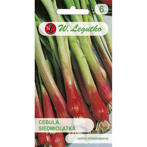 Cibule zimní Red Toga obrázek 1 artikel 78452