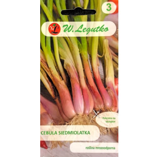 Cibule zimní Winter Nest obrázek 1 artikel 78451