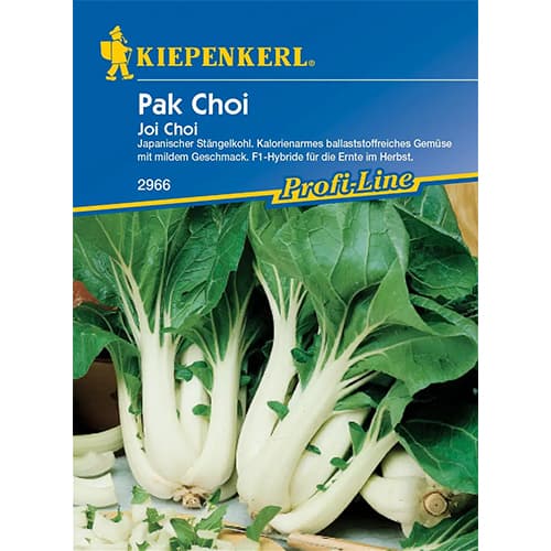 Čínské zelí Pak Choi obrázek 1 artikel 86488
