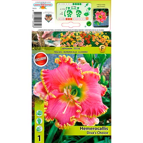 Denivka (Hemerocallis) Diva's Choice obrázek 1 artikel 76268