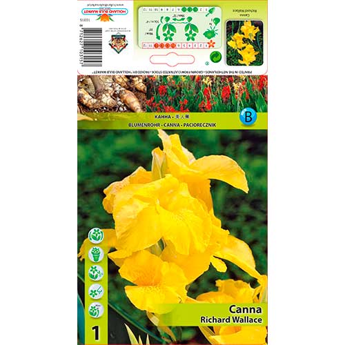 Dosna Richard Wallace obrázek 1 artikel 70366