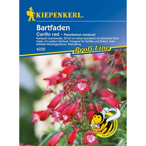 Dráčik Carillo Red obrázek 1 artikel 86248