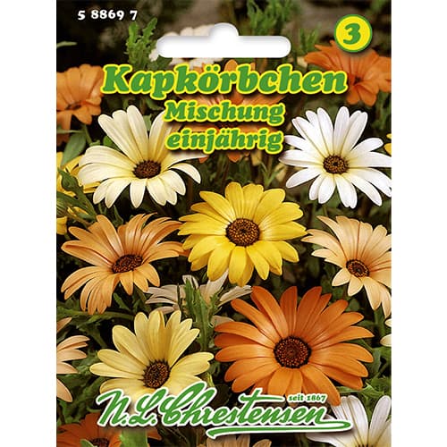 Dvoutvárka chobotnatá obrázek 1 artikel 86148