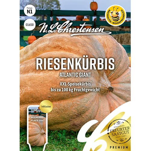 Dýně Atlantic Gigant obrázek 1 artikel 87848