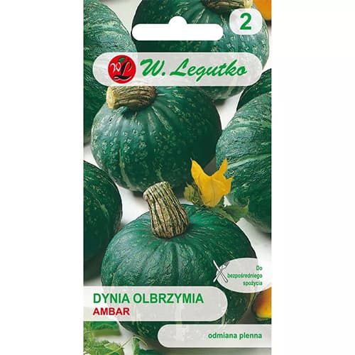 Dýně obrovská Ambar obrázek 1 artikel 78453