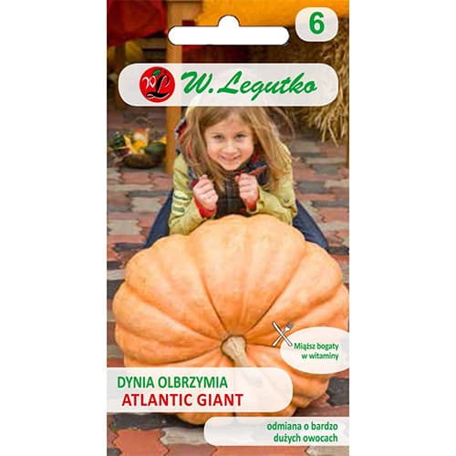 Dýně obrovská Atlantic Giant artikel fotografie 1 Dýně obrovská Atlantic Giant obrázek 1 artikel 69460