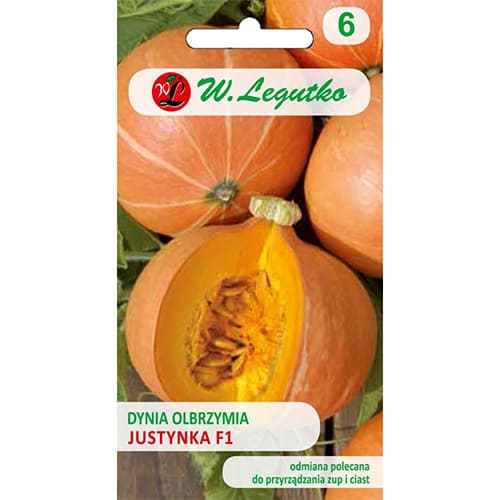 Dýně obrovská Justynka F1 artikel fotografie 1 Dýně obrovská Justynka F1 obrázek 1 artikel 86861