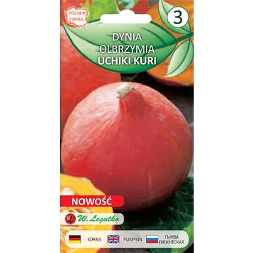 Dýně obrovská Uchiki Kuri obrázek 1 artikel 78455