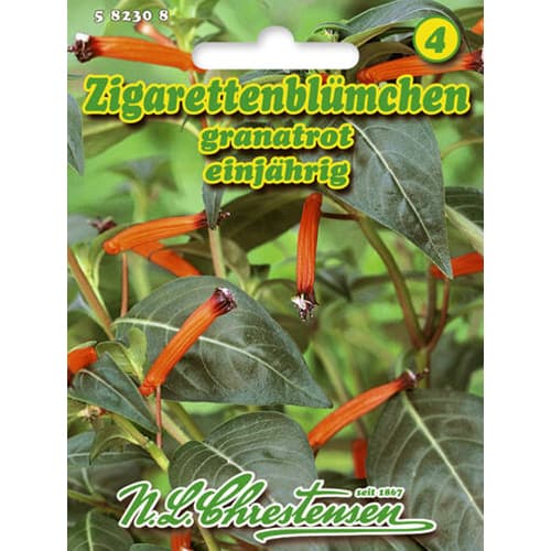 Hlazenec ohnivo-červený artikel fotografie 1 Hlazenec ohnivo-červený obrázek 1 artikel 96412