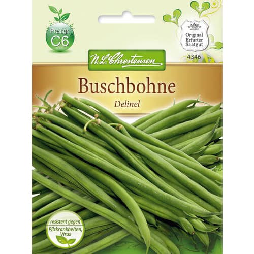 Fazol Delinel obrázek 1 artikel 78816