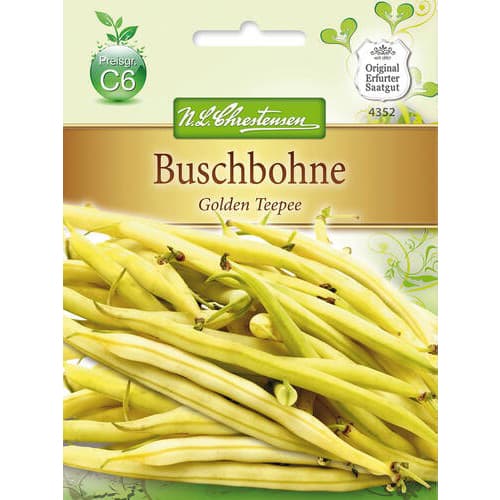 Fazol Golden Teepee obrázek 1 artikel 78818