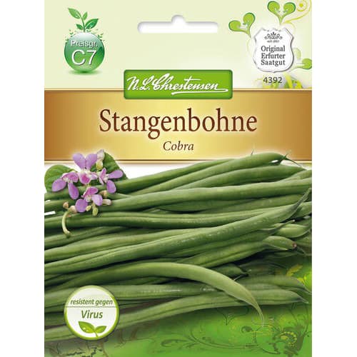 Fazol obecný Cobra obrázek 1 artikel 78833