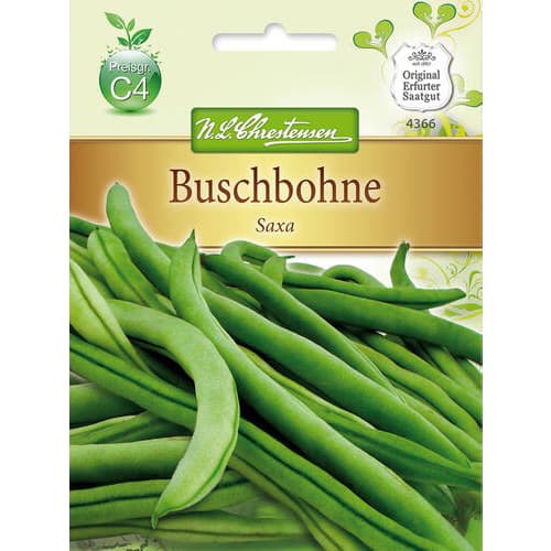 Fazol Saxa 2 obrázek 1 artikel 78824