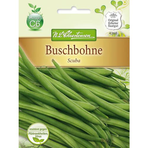 Fazol Scuba artikel fotografie 1 Fazol Scuba obrázek 1 artikel 78825