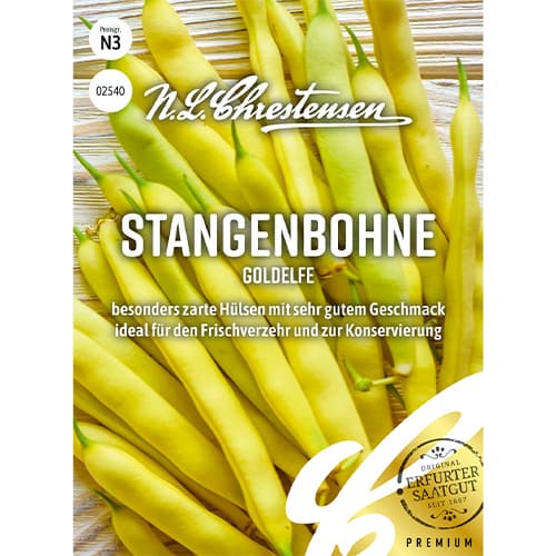 Fazole keříčková Goldelfe obrázek 1 artikel 86097