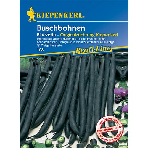 Fazole keříčková Bluevetta obrázek 1 artikel 77467