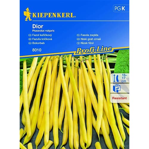 Fazole keříčková Dior obrázek 1 artikel 87275
