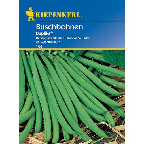 Fazole keříčková Duplika artikel fotografie 1 Fazole keříčková Duplika obrázek 1 artikel 86399