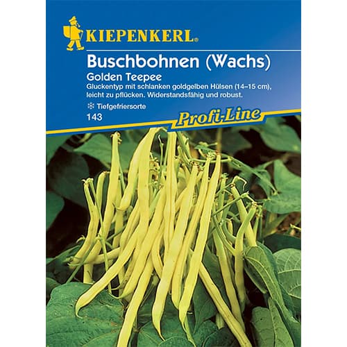 Fazole keříčková Golden Teepee obrázek 1 artikel 86401