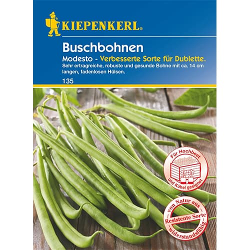 Fazole keříčková Modesto artikel fotografie 1 Fazole keříčková Modesto obrázek 1 artikel 96602