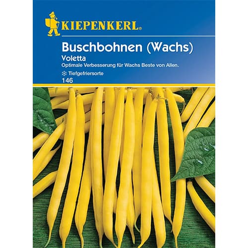 Fazole keříčková Voletta obrázek 1 artikel 86404