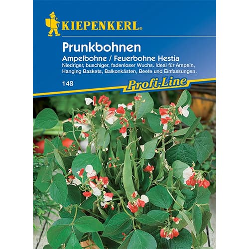 Fazole mnohokvětá Hestia obrázek 1 artikel 77468