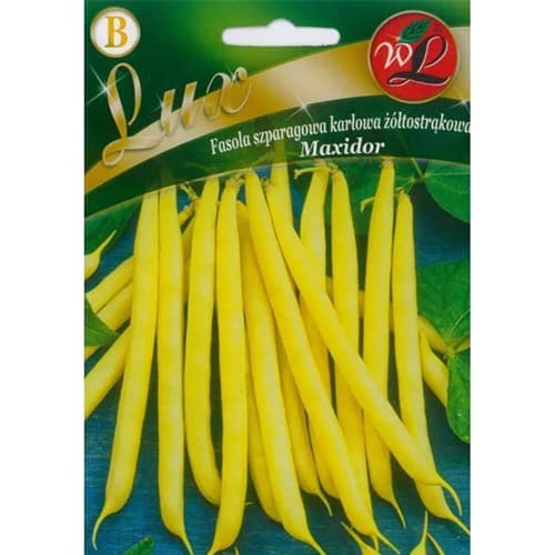 Fazole šarlatová trpasličí Maxidor obrázek 1 artikel 96818