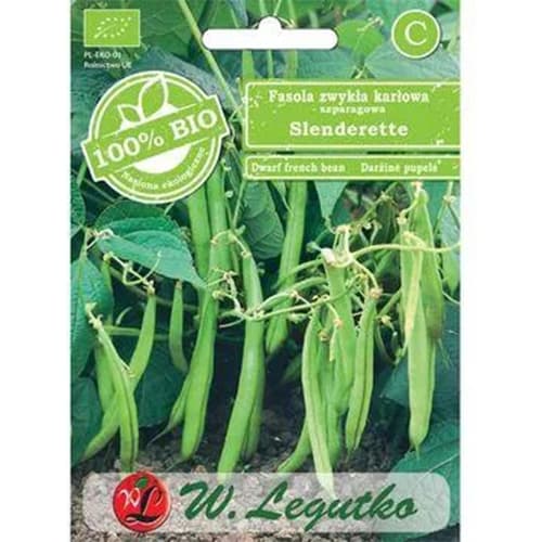 Fazole šarlatová trpasličí Slenderette obrázek 1 artikel 96828