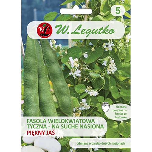 Fazole velkokvětá Pěkný jas obrázek 1 artikel 86854