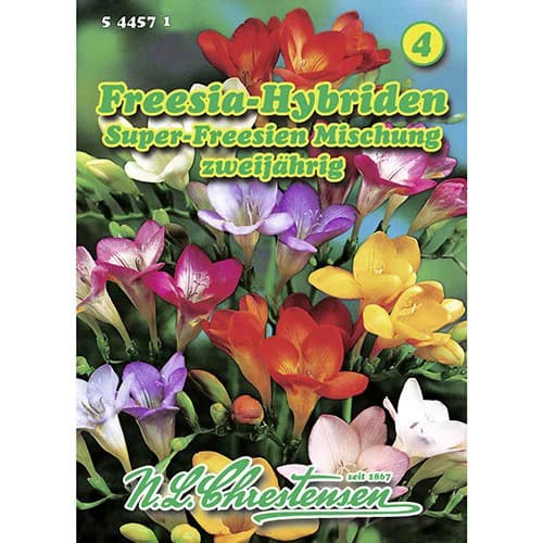 Frézie plnokvětá, směs obrázek 1 artikel 96421