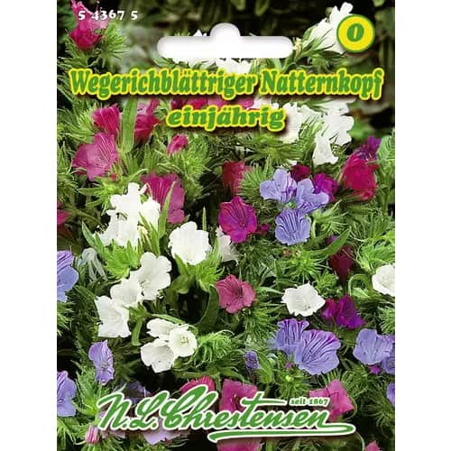 Hadinec jitrocelový artikel fotografie 1 Hadinec jitrocelový obrázek 1 artikel 96418